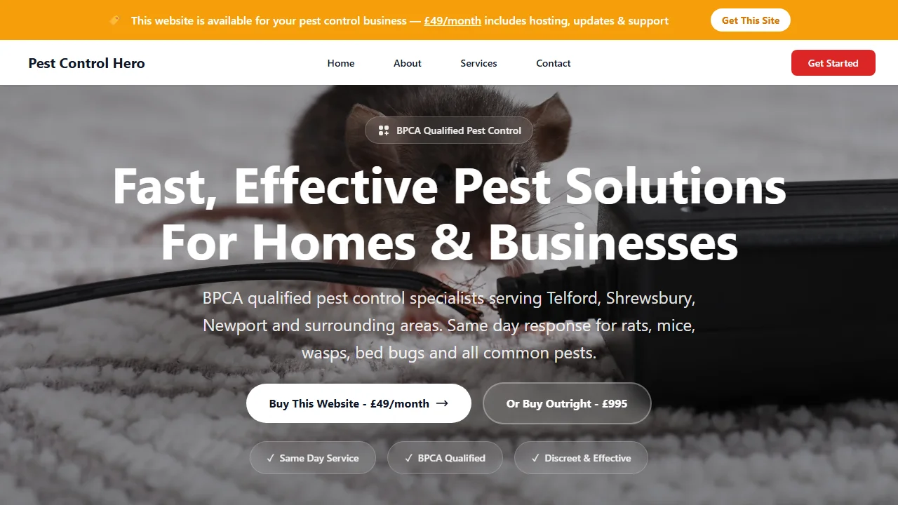 Pest Control Hero website template